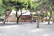 clicca qui per filmato